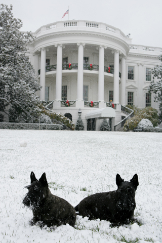 Happy Holidays from the White House