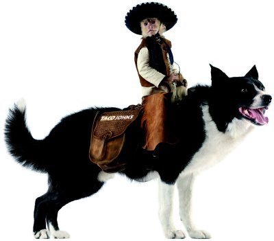 Whiplash - The Cowboy Monkey!