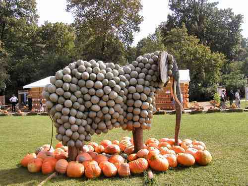 Video Of The Week - Germany's Pumpkin Festival