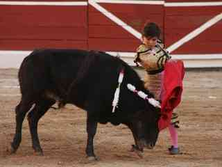 The 11-Year Old Matador