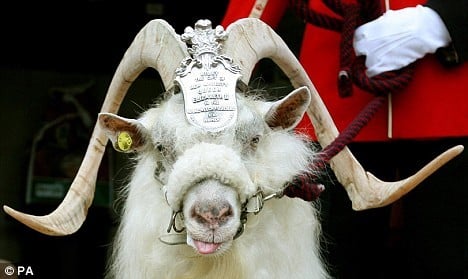 Lance Corporal Billy The Goat, Retires