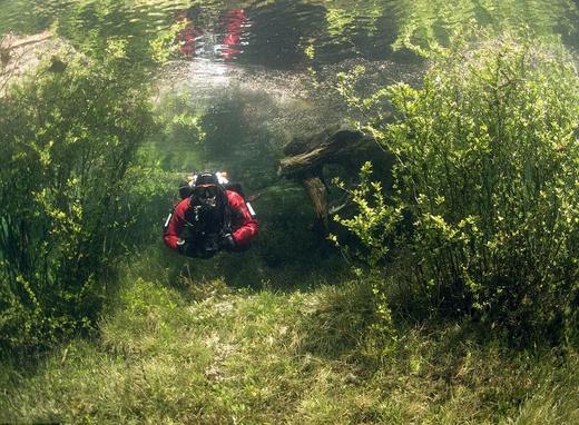 Want To Go Diving In The Park?