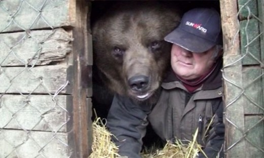 Video Of The Week - Finnish Bear Needs A Bedtime Hug!